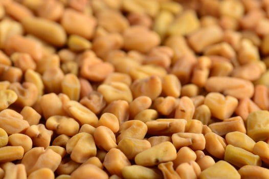Fenugreek seeds as background. Close up texture photo