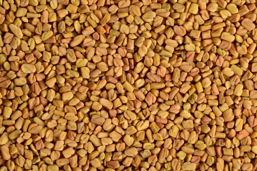 Fenugreek seeds as background. Close up texture photo
