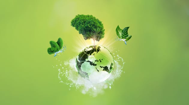 Beautiful green background photo