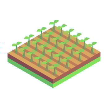 Fields Plantation and cultivation vector