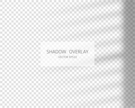 Shadow overlay effect. Natural shadows from window isolated on transparent background. Vector illustration.
