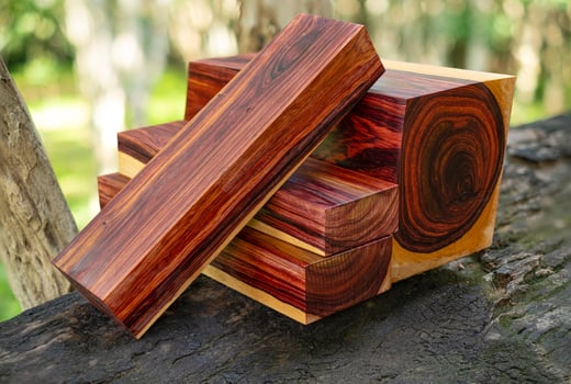 Wood logs of Burmese rosewood photo