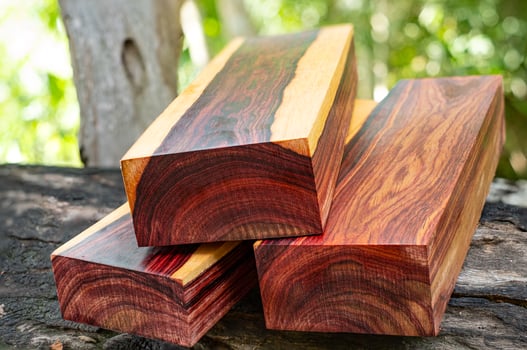 Wood logs of Burmese rosewood photo