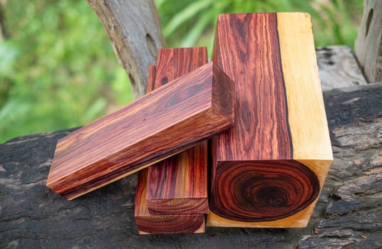 Wood logs of Burmese rosewood photo