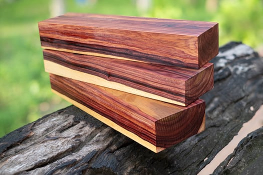 Wood logs of Burmese rosewood photo