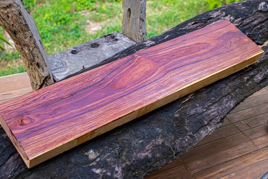 Wood logs of Burmese rosewood, Exotic wooded beautiful pattern photo