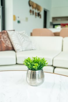 Plant in vase decoration on the table in living room photo