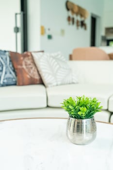 Plant in vase decoration on the table in living room photo