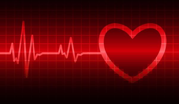 Heart pulse monitor with signal. Heart beat. EKG icon wave vector