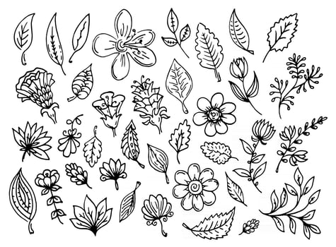 Vector set of outline leaves and flowers. Black contour line art autumn leaves and decorative flowers. Plant ornate decorations overlay