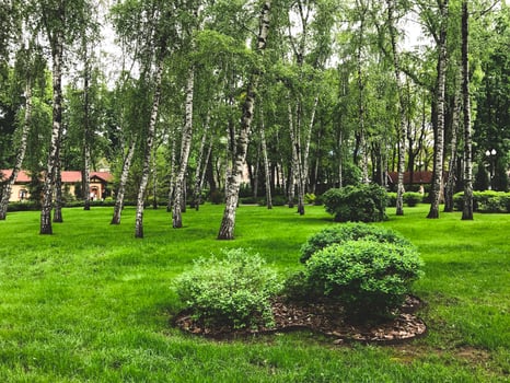 Summer day in Gorky Park, Kharkov city, Ukraine photo