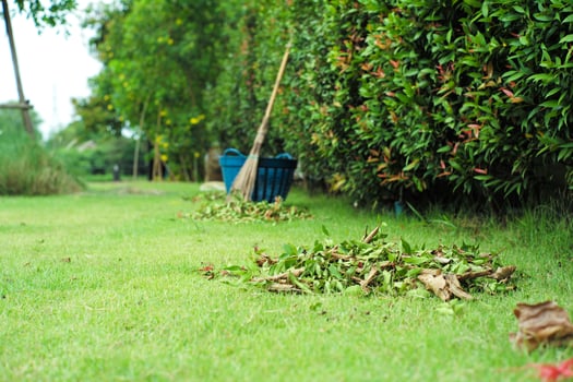 Closeup pile of dried leaves with blurred coconut broom and basket in background photo
