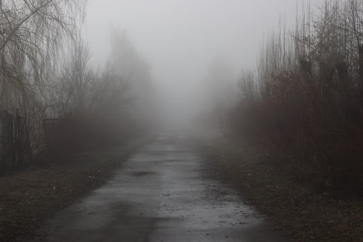 deserted trail in the fog. The road to the unknown. Mystical landscape. photo