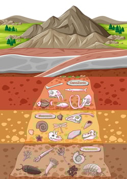 Scene with various animals bones and dinosaurs fossils in soil layers vector