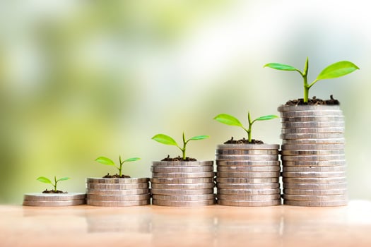 Save money with stack coin. Growing your business concept. Young plant growing in money stack coin. photo