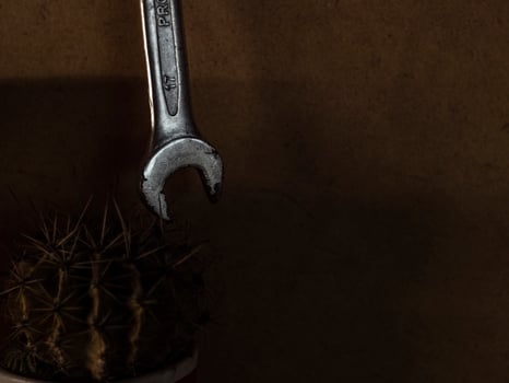 Wrench 17 hanging on the background of a wooden wall near a cactus photo