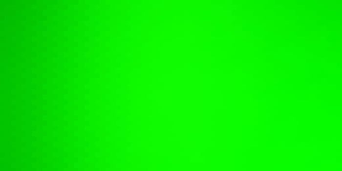 Light Green vector texture in rectangular style.