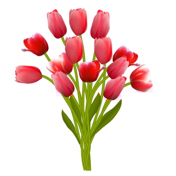 Floral background with Tulips Vector Illustration