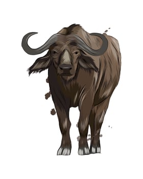 Bison, buffalo from a splash of watercolor, colored drawing, realistic. Vector illustration of paints