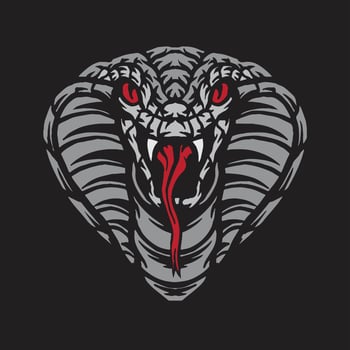 Snake head drawing vector