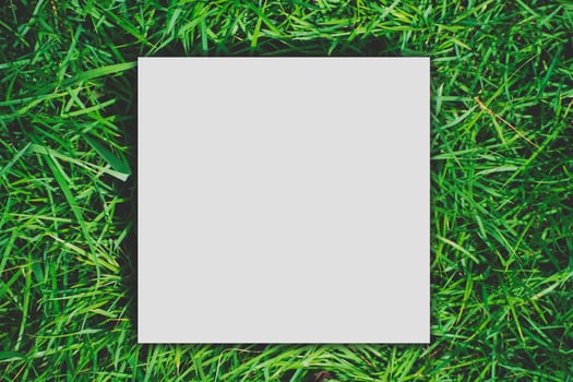 Paper Card white template mockup blank copy space on a green grass photo