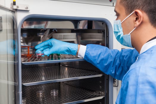 Young laboratory researcher introducing a petri dish into an incubator photo