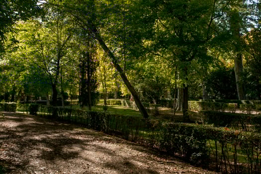 Autumn arrives in the parks in the province of Madrid, Spain photo