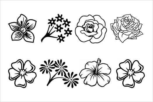 flower blossom set vector