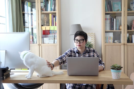 Asian Woman Working photo