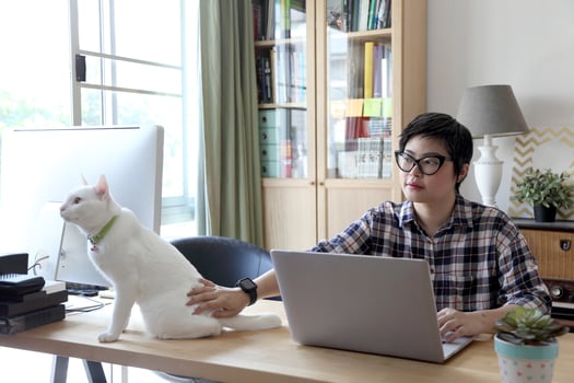 Asian Woman Working photo