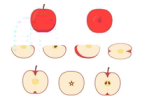 Red apple whole, cut half, piece, part and slice chopped of fruit vector