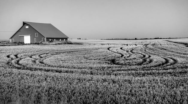old barn on palouse farm fields in the morning photo