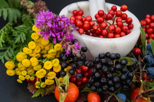 Alternative Medicine with pharmaceutical herbs fruits and berries photo