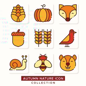 Flora Fauna Autumn Weather Nature Icon Collection vector