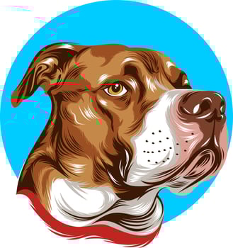 dog illustration with solid color vector