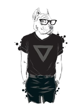 Beautiful hipster dog in stylish clothes and accessories vector