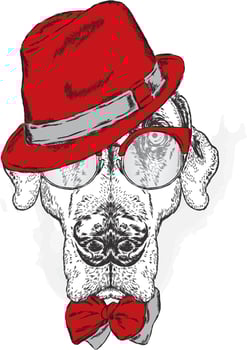 Beautiful hipster dog in stylish clothes and accessories vector