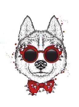 Beautiful hipster dog in stylish clothes and accessories vector