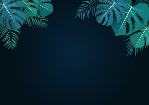 Palm and monstera leaves natural summer background. vector