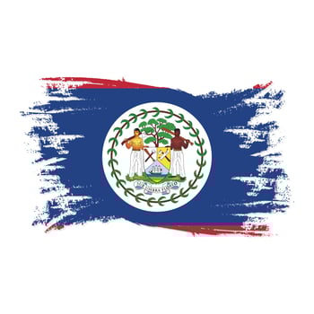 Belize Flag With Watercolor Brush style design vector