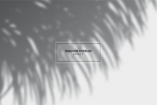 Plant shadow overlay effect on gray background vector