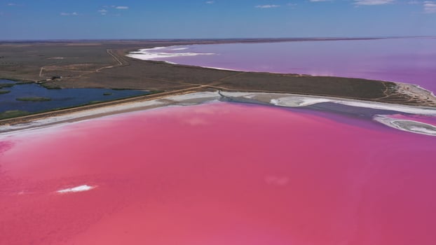 Aerial view of pink lake with salt shore photo