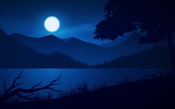 Mountain And Lake Illustration With Moonlight vector