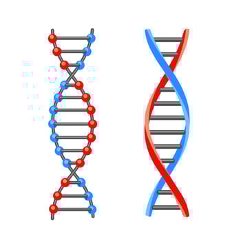 DNA molecule. Icon. Vector illustration on white background.