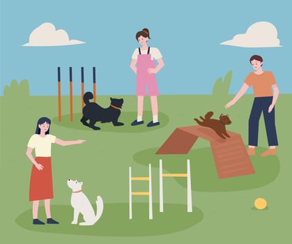 Agility Dog Training Camp. vector