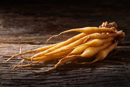 Kaempfer is ingredient and herb photo