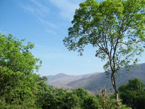 Amazing Landscapes of India, Views of India photo