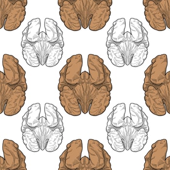 walnut seamless pattern color vector