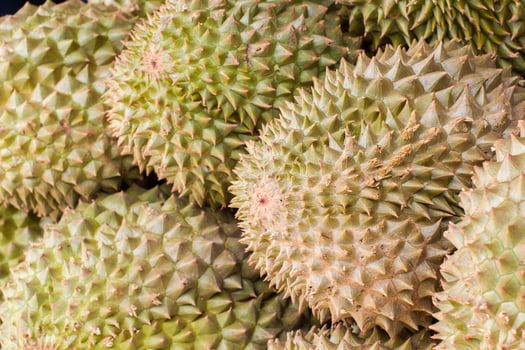 Durian, King of Fruit, for selling in Thailand photo
