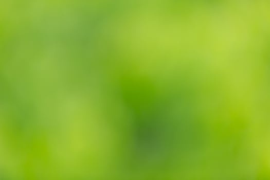 green blur background photo